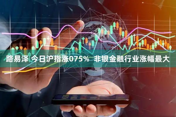 路易泽 今日沪指涨075% 非银金融行业涨幅最大