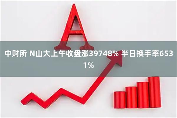 中财所 N山大上午收盘涨39748% 半日换手率6531%